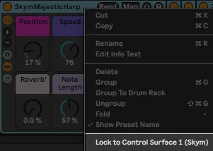 Lock to Control Surface menu item